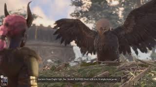 Baldur's Gate 3: Talking to the Giant Eagle Mother screenshot 3