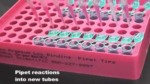 RapidTips PCR Purification in 60 Seconds (www.midsci.com)