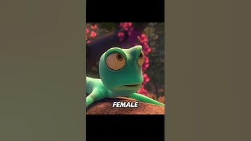 Have you ever seen a chameleon that can