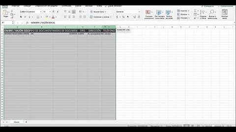 SUSII: ¿Cómo importar clientes desde un archivo excel?