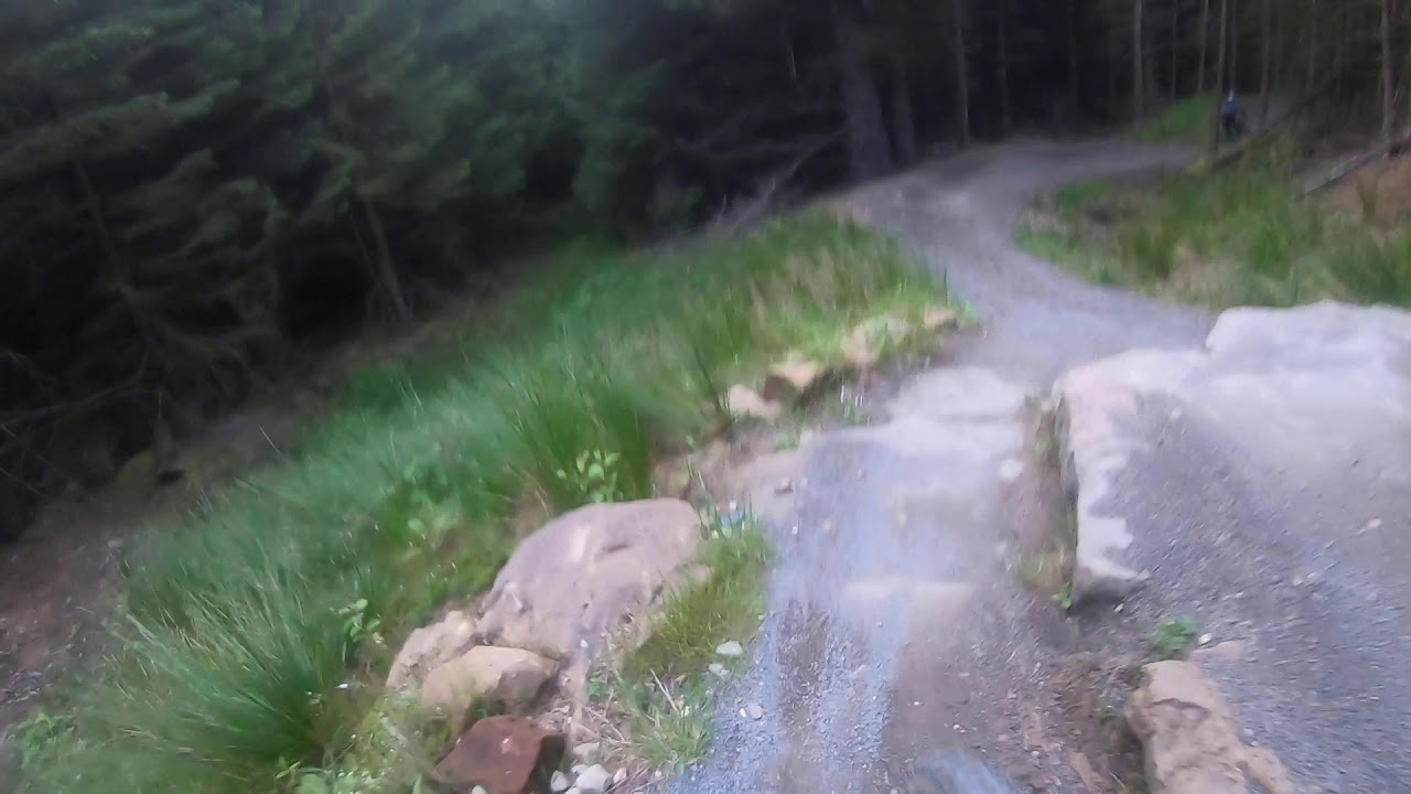 Hamsterley Forest Poltys Last Blast Peter