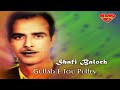 Shafi baloch  gullab e tou pulley  balochi regional songs