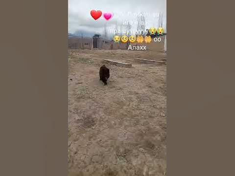 Он болеит раком помогите пожалуиста - YouTube