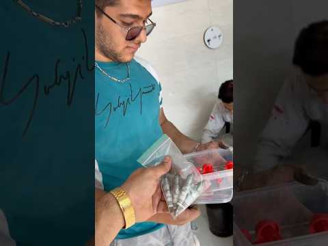 شمع سوزنی ۳پلاتین ایریدیوم