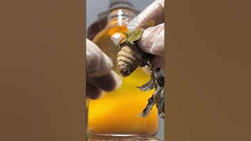 #tips #lifehacks #useful #tipsandtricks #LearnOnTikTok #satisfying