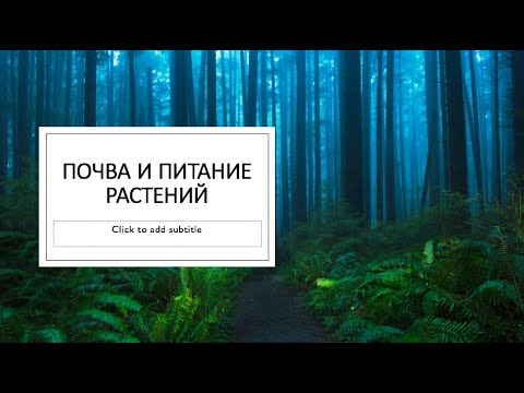 Почва и Питание Растений (часть 1)