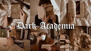 Dark Academia Filter Tutorial | Free Lightroom Mobile Presets DNG | Lightroom Editing Tutorial screenshot 4