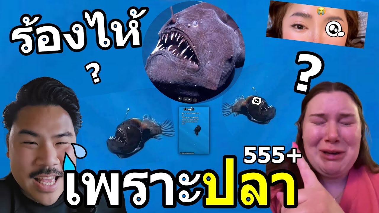 กระแสจาก TIKTOK ทำไมไม่ควรนับ?