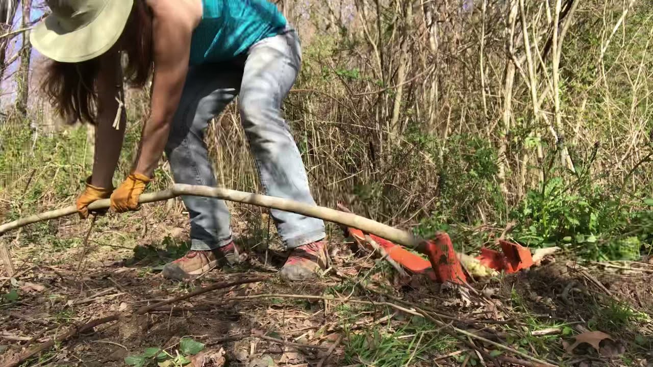 Weed Wrench Demonstration