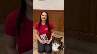 Bringing home a puppy this New Year?