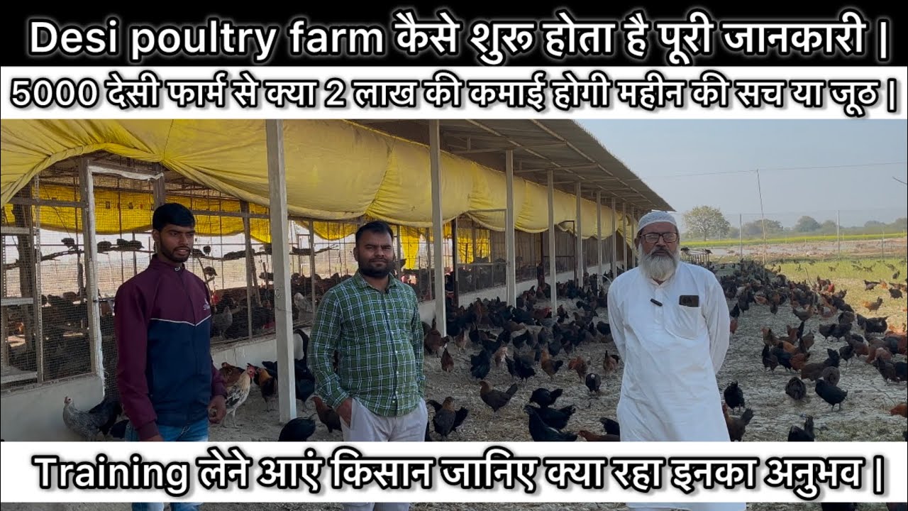 देसी मुर्गी फार्म खोलने में क्या खर्चा आएगा | Desi poultry farming | देसी फार्म से कमाई कितनी होगी |