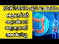         health tips malayalam  ayurveda