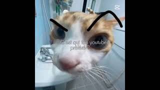 edit peter beatbox