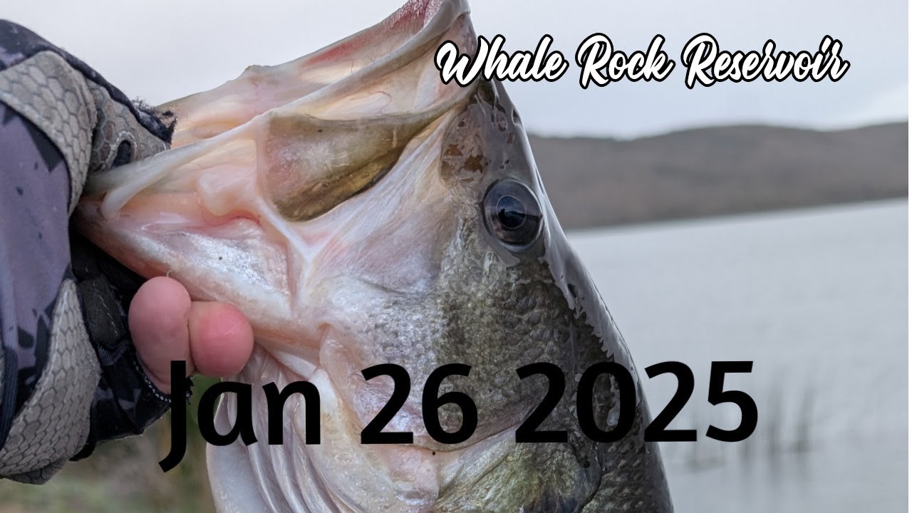 Bass fishing jan 26 Whale Rock Rreservoir Cayucos Ca.