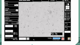 Cellometer K2 Image Cytometer for Primary Cells