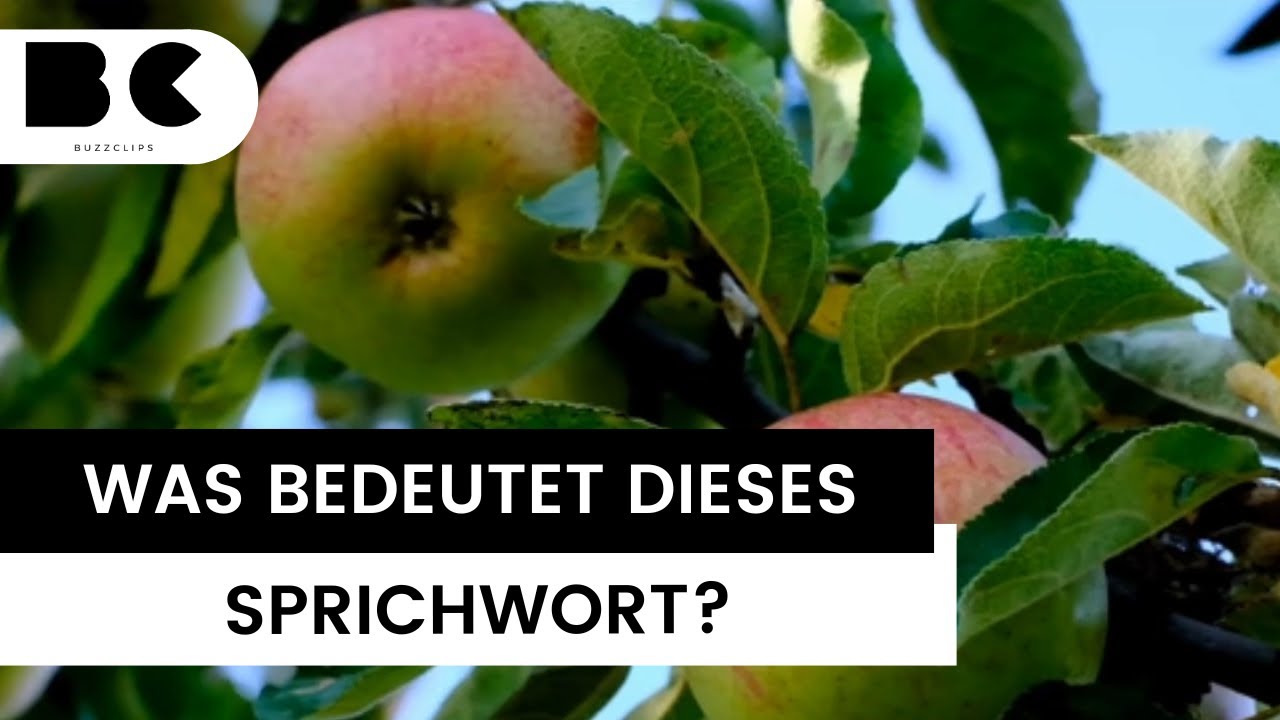 Der Apfel Fällt Nicht Weit Vom Stamm Englisch Deshalb sagt man: "Der Apfel fällt nicht weit vom Stamm" - YouTube