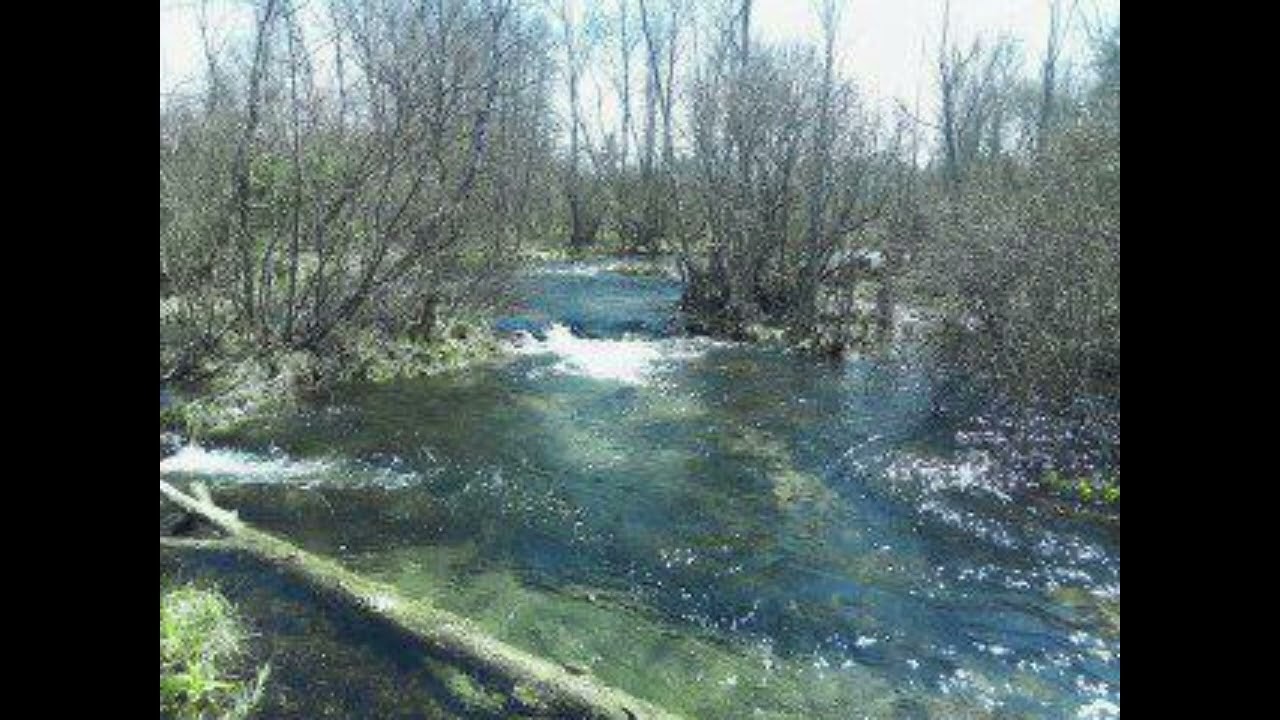 [free] ambient nokia angel witch house type beat - 