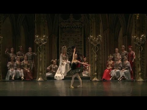 אגם הברבורים של בלט סנט פטרסבורג 