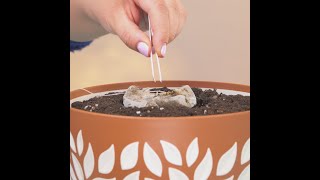 Hack Your Gardening Skills With These Quick Tips