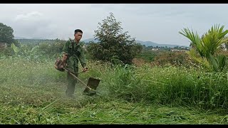 Clean Garden Grass With TJ53 Lawn Mower screenshot 5