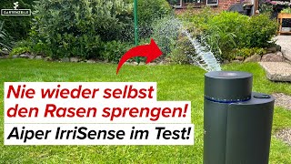 Smart Garden Upgrade: So einfach geht Bewässerung mit Aiper IrriSense