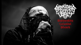 Blasphemous Goat Vomit - Suffocating Celestial Stench