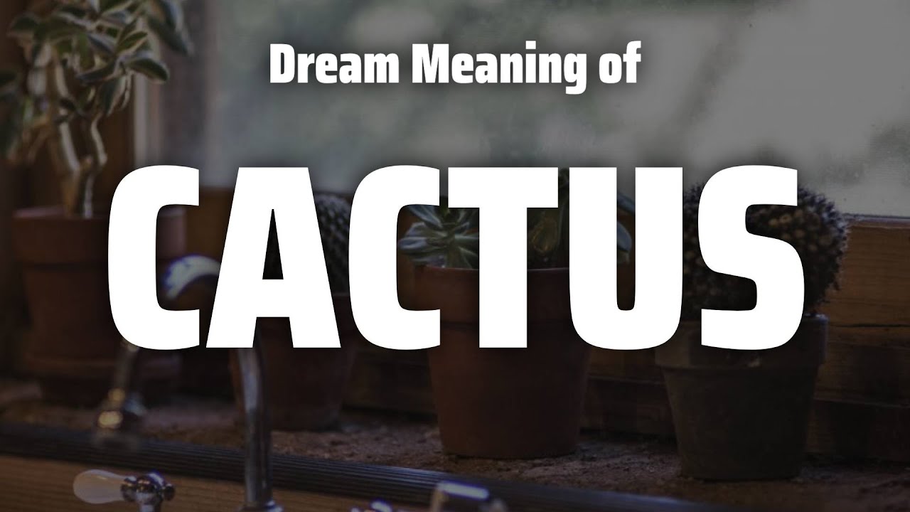 Cactus Dream Meaning & Symbolism