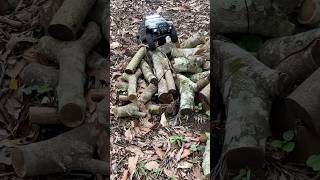 Crawling over the logs #axial #basecamp #rc #scx10 #scx10iii #rockcrawler #rockcrawling #offroad