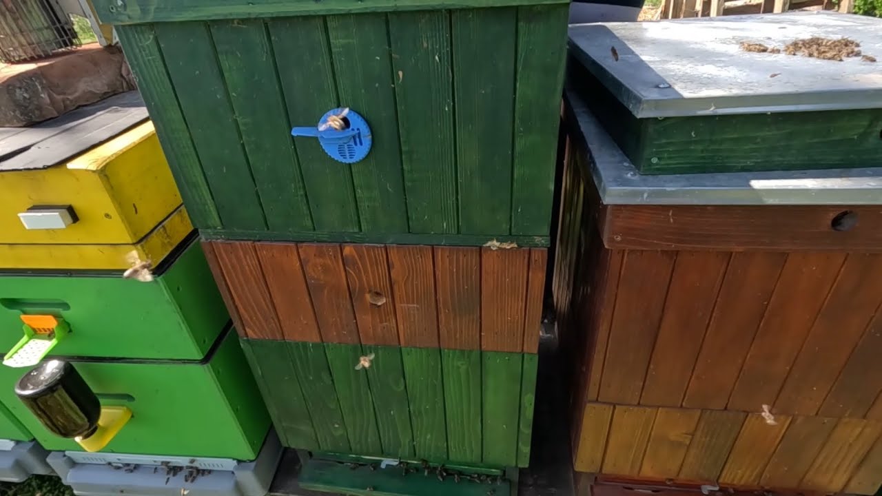 440. Nasadzovanie medníkov č. 3 - kombinácia BEB