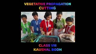 #2026 #education #school  # Kaushal Bodh Class VIII # Cutting # Vegetative Propagation
