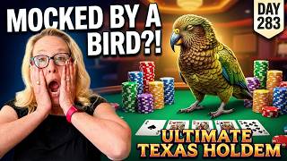 More Bratty Bird Talk - Ultimate Texas Holdem - Day 283