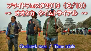フライトフェスタ2019(6)オオタカ♂の部 入賞者 フライトフェスタ2019(6)オオタカ♂の部 入賞者