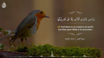 سورة هود ( 6 - 7 ) الشيخ محمد صديق المنشاوي