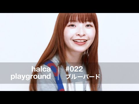 halca playground # 022「ブルーバード」