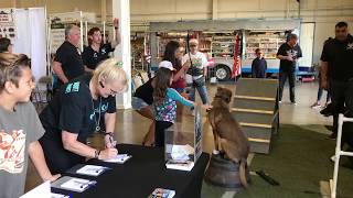 Epic Dog Pros Dog Training Experts in Orange County California at the Cruisin for a Cure Auto Show!