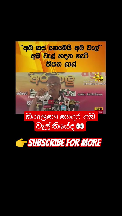 අඹ වැල් දැකල තියේද ? 👀🥲 #korea #slmemereview #viral #100kview #trending #sinhala #srilankan
