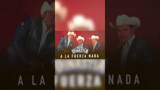 La Nueva Dinastía - A La Fuerza Nada #musica #musicamexicana #regionalmexicano #hits