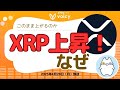 XRP上昇！米先物ETF、ブラジル現物ETF初承認【Voicy4月28日放送】