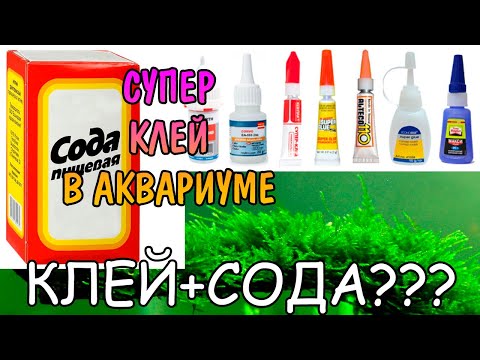 СУПЕР КЛЕЙ В АКВАРИУМЕ. СОДА + СУПЕРКЛЕЙ????? ПРОВЕРКА