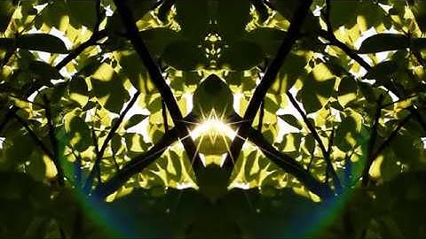 bhāvanā - Video installation (documentation video)