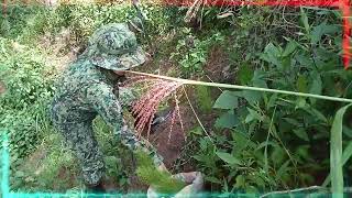 TREE PLANTING II 1600 PINE TREES PLANTED IN BENGUET