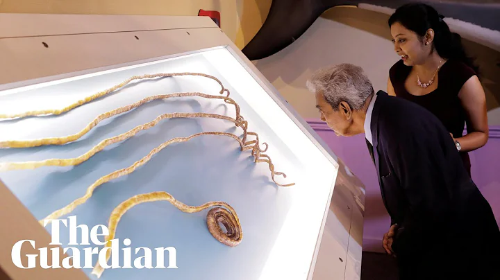 Man with world's longest fingernails finally cuts them off