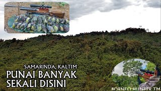 HUNTING FOR PUNAI IS VERY MUCH HERE POINT 31 EKKOR