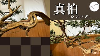 We made a quirky Shinpaku. part2 - YouTube