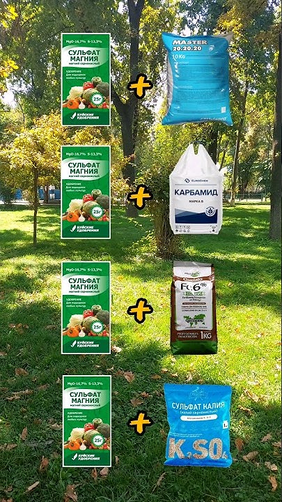 Сульфат Магния за одну минуту. Дозировка, совместимость, применение и ...