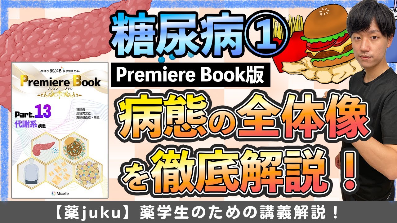 【糖尿病の病態生理】全体的な概要とインスリン分泌機構を解説！(薬理に繋がる)