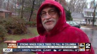 Heavy rain, strong winds leave behind fallen trees and damaged houses in Columbia