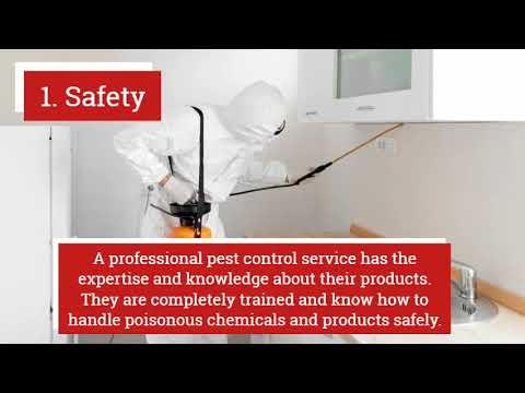 Benefits of Hiring Professional Pest Control Services