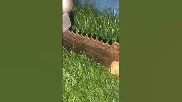 Simple Hand Tool Hack to Sharpen Any Saw Blade!"