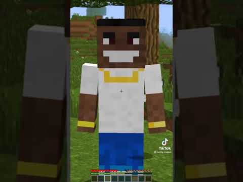FRIENDS TIK TOK + MINECRAFT MEMES